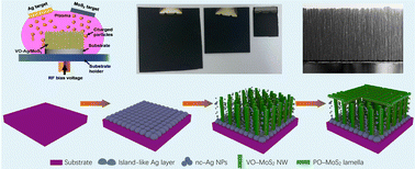 Graphical abstract: Template-free scalable growth of vertically-aligned MoS2 nanowire array meta-structural films towards robust superlubricity