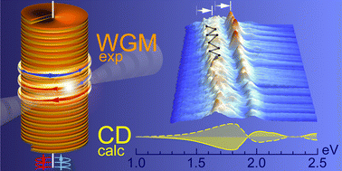 Graphical abstract: Chirality and dislocation effects in single nanostructures probed by whispering gallery modes