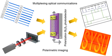 Graphical abstract: Quantum tailoring for polarization-discriminating Bi2S3 nanowire photodetectors and their multiplexing optical communication and imaging applications