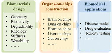 Graphical abstract: Tailoring biomaterials for biomimetic organs-on-chips