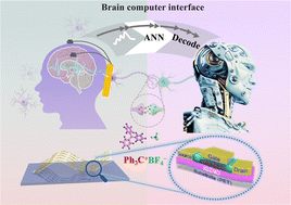 Graphical abstract: Flexible In–Ga–Zn–N–O synaptic transistors for ultralow-power neuromorphic computing and EEG-based brain–computer interfaces