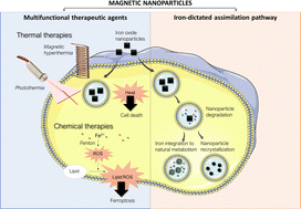 Graphical abstract: Emergence of magnetic nanoparticles in photothermal and ferroptotic therapies
