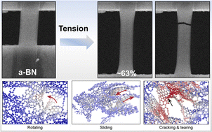 Graphical abstract: Ductile amorphous boron nitride microribbons