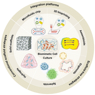 Graphical abstract: Biomimetic cell culture for cell adhesive propagation for tissue engineering strategies