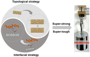 Graphical abstract: A synergistic interfacial and topological strategy for reinforcing aramid nanofiber films