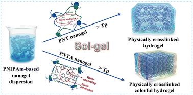 Graphical abstract: Remarkable sol–gel transition of PNIPAm-based nanogels via large steric hindrance of side-chains