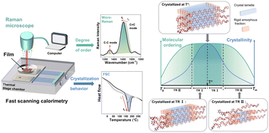 Graphical abstract: Real-time correlation of crystallization and segmental order in conjugated polymers