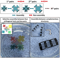 Graphical abstract: Precise and selective macroscopic assembly of a dual lock-and-key structured hydrogel