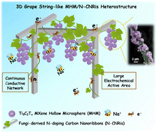 Graphical abstract: 3D grape string-like heterostructures enable high-efficiency sodium ion capture in Ti3C2Tx MXene/fungi-derived carbon nanoribbon hybrids
