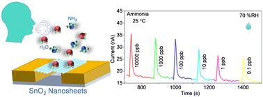 Graphical abstract: Porous SnO2 nanosheets for room temperature ammonia sensing in extreme humidity
