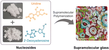 Graphical abstract: Bulk and transparent supramolecular glass from evaporation-induced noncovalent polymerization of nucleosides