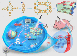 Graphical abstract: A biocompatible pure organic porous nanocage for enhanced photodynamic therapy