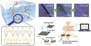 Graphical abstract: High-toughness, extensile and self-healing PDMS elastomers constructed by decuple hydrogen bonding