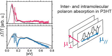 Graphical abstract: Polaron absorption in aligned conjugated polymer films: breakdown of adiabatic treatments and going beyond the conventional mid-gap state model