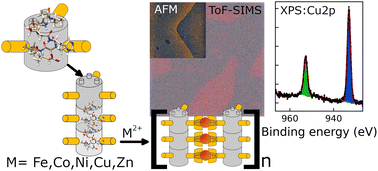 Graphical abstract: Controllable hierarchical self-assembly: systematic study forming metallosupramolecular frameworks on the basis of helical beta-oligoamides