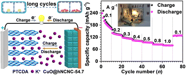 Graphical abstract: Loss-free pulverization by confining copper oxide inside hierarchical nitrogen-doped carbon nanocages toward superb potassium-ion batteries