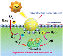 Graphical abstract: Fabrication of water-floating litchi-like polystyrene-sphere-supported TiO2/Bi2O3 S-scheme heterojunction for efficient photocatalytic degradation of tetracycline