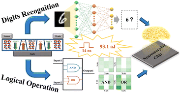 Graphical abstract: Low-power and high-speed HfLaO-based FE-TFTs for artificial synapse and reconfigurable logic applications