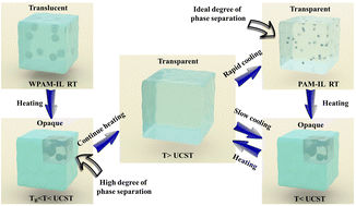 Graphical abstract: Preparation of tough and stiff ionogels via phase separation