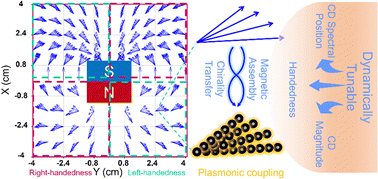 Graphical abstract: Magnetic assembly of plasmonic chiral superstructures with dynamic chiroptical responses