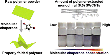 Graphical abstract: High-yield and chirality-selective isolation of single-walled carbon nanotubes using conjugated polymers and small molecular chaperones