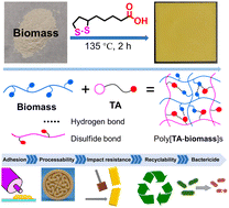 Graphical abstract: A supramolecular approach for converting renewable biomass into functional materials