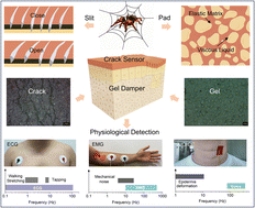 Graphical abstract: Physiological sensing system integrated with vibration sensor and frequency gel dampers inspired by spider