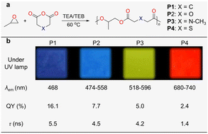 Graphical abstract: Heteroatom-facilitated blue to near-infrared emission of nonconjugated polyesters