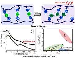 Graphical abstract: Thermomechanically stable supramolecular elastomers inspired by heat shock proteins