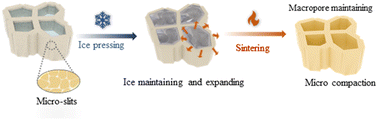 Graphical abstract: Exploring the Mpemba effect: a universal ice pressing enables porous ceramics