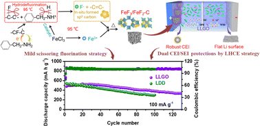 Graphical abstract: Dual strategies of mild C–F scissoring fluorination and local high-concentration electrolyte to enable reversible Li–Fe–F conversion batteries