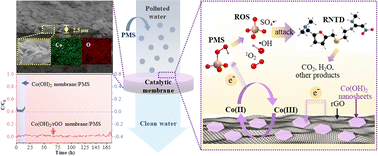 Graphical abstract: A two dimensional Co(OH)2 catalytic gravity-driven membrane for water purification: a green and facile fabrication strategy and excellent water decontamination performance
