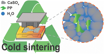 Graphical abstract: Upcycling plastic waste into fully recyclable composites through cold sintering