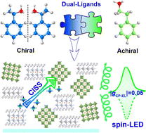 Graphical abstract: Dual-ligand quasi-2D perovskites with chiral-induced spin selectivity for room temperature spin-LEDs