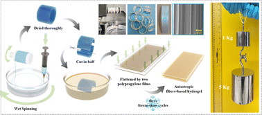 Graphical abstract: Strong, tough and anisotropic bioinspired hydrogels