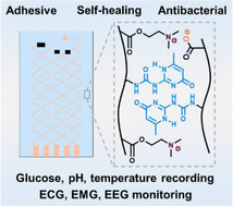 Graphical abstract: Skin-adhesive and self-healing diagnostic wound dressings for diabetic wound healing recording and electrophysiological signal monitoring
