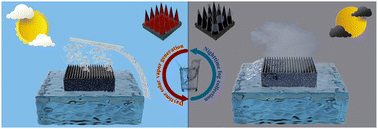 Graphical abstract: Magnetically driven Janus conical vertical array for all-weather freshwater collection