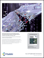 Graphical abstract: Inside back cover