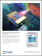 Graphical abstract: Back cover