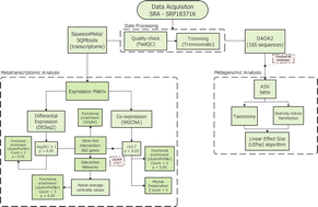 Graphical abstract: Functional response of microbial communities in lab-controlled oil-contaminated marine sediment