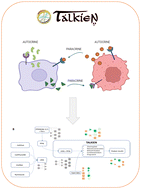 Graphical abstract: TALKIEN: crossTALK IntEraction Network. A web-based tool for deciphering molecular communication through ligand–receptor interactions