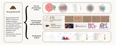 Graphical abstract: Integrated network pharmacology and fecal metabolomic analysis of the combinational mechanisms of Shexiang Baoxin Pill against atherosclerosis