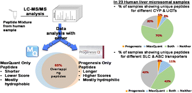 Graphical abstract: Complementarity of two proteomic data analysis tools in the identification of drug-metabolising enzymes and transporters in human liver
