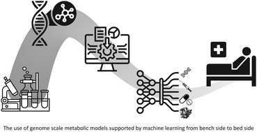 Graphical abstract: Genome-scale metabolic models in translational medicine: the current status and potential of machine learning in improving the effectiveness of the models