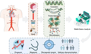 Graphical abstract: Biomarkers of heart failure: advances in omics studies