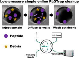 Graphical abstract: Open-tubular trap columns: towards simple and robust liquid chromatography separations for single-cell proteomics