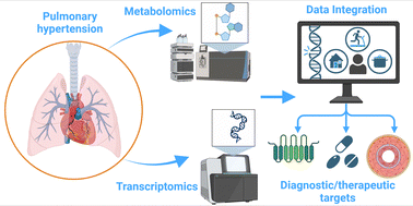 Graphical abstract: Understanding pulmonary hypertension: the need for an integrative metabolomics and transcriptomics approach