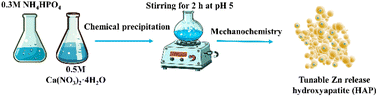 Graphical abstract: Mechanochemical synthesis of zinc-doped hydroxyapatite for tunable micronutrient release