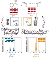 Graphical abstract: In situ investigation of controlled polymorphism in mechanochemistry at elevated temperature