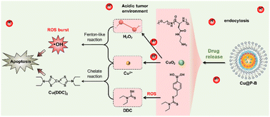 Graphical abstract: Co-delivery of a tumor microenvironment-responsive disulfiram prodrug and CuO2 nanoparticles for efficient cancer treatment